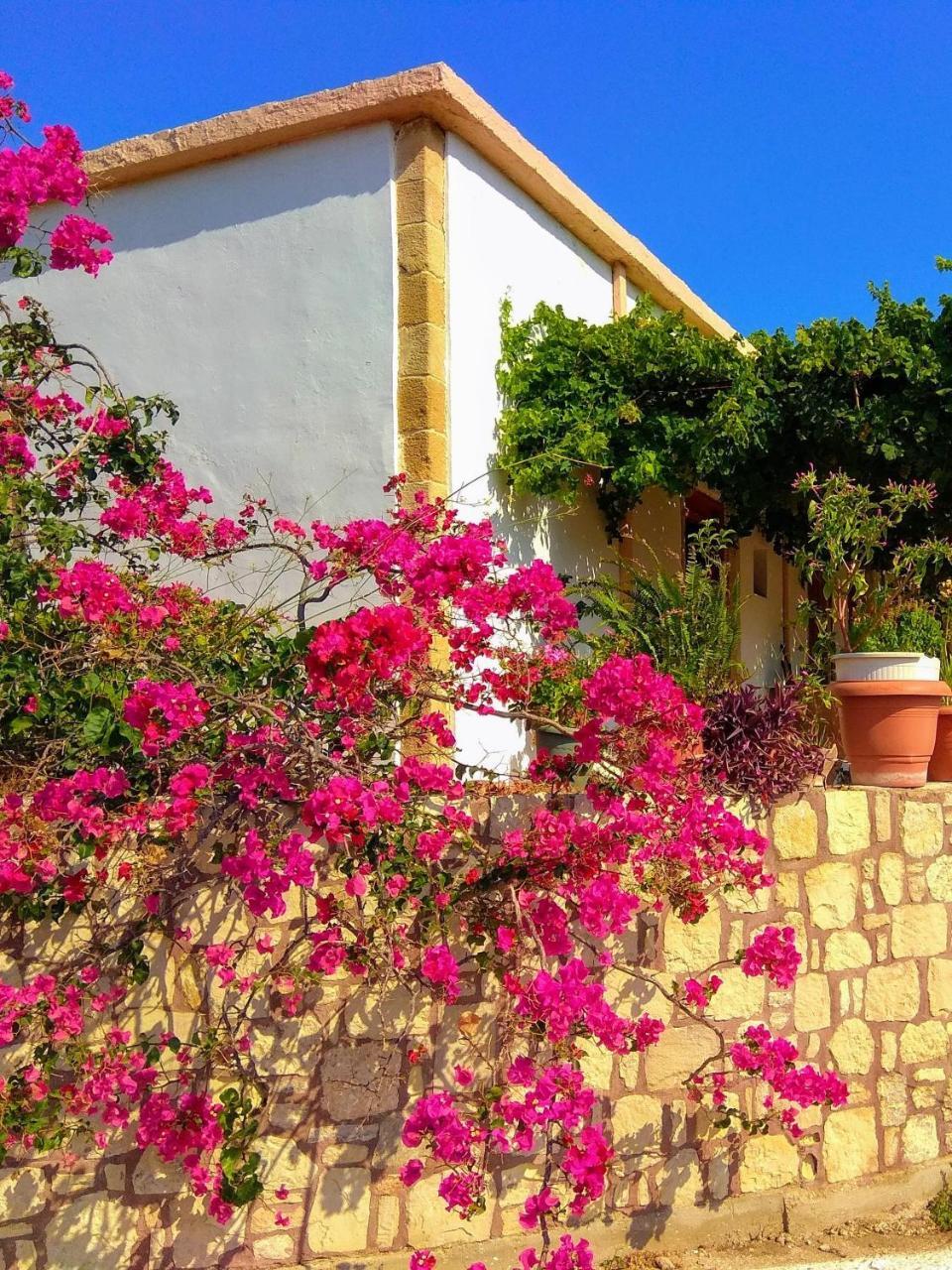 Gramvousá Falasarna Lardas House מראה חיצוני תמונה